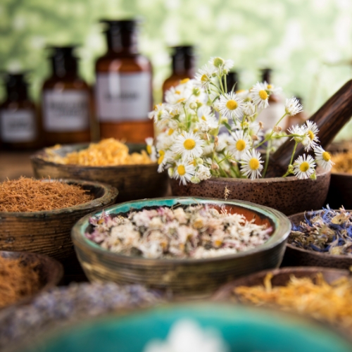 botanical-medicine-Jennifer-Scherbauer-DC-ND-LLC-chicago-il