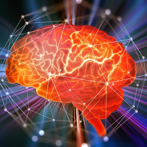 neurological-disorders-Jennifer-Scherbauer-DC-ND-LLC-chicago-il