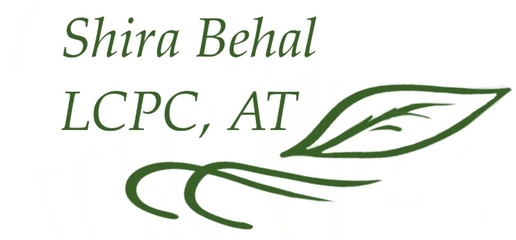 Elevated Chiropractic, Naturopathic, Physical Therapy, and Traditional Chinese Medical Care In Chicago, IL