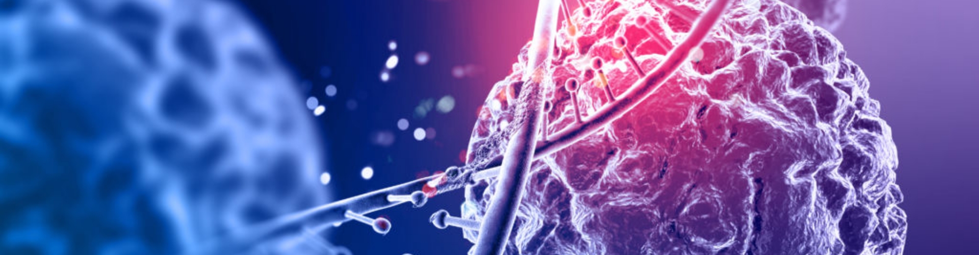 Regenerative & Longevity Medicine